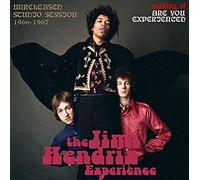 HENDRIX, JIMI - MAKING OF ARE YOU..