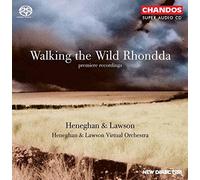 Heneghan & Lawson Virtual Orchestra - Heneghan Lawson Virtual Orchestra....