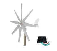 HENGJINGTR Generatore Eolico Silenzioso da 6000W, 12V/24V/48V Generatore Eolico, Freno ad Alta velocità del Vento per Casa, Mulino a Vento per Fattoria con Controller per Uso Domestico (220V),24V