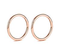 Hengkaixuan 2 pezzi 12 mm in titanio, 14G, orecchini a cerchio con segmento a cerniera, per piercing a cartilagine, helix, labbro, trago, naso, orecchini post foratura, piercing per il corpo