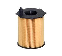 HENGST FILTER E1023H D232 Filtro olio