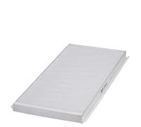 Hengst E1943LI - Filtro, Aria Abitacolo