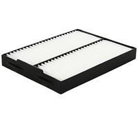 Hengst E2910LI - Filtro, Aria Abitacolo