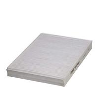 Hengst E2949LI - Filtro, Aria Abitacolo