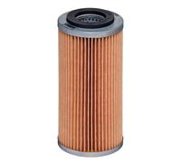 HENGST FILTER E1055H D609 Filtro olio