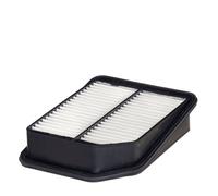 Hengst Filter Filtro aria E1175L cartuccia per Suzuki Grand Vitara II, Ford USA