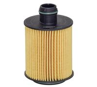 Hengst Filter E124H02 D202 - Filtro olio