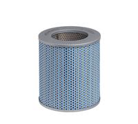 HENGST FILTER E165H Filtro olio