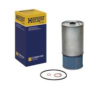 HENGST FILTER E196HN D20 Filtro olio