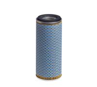HENGST FILTER E243H Filtro olio