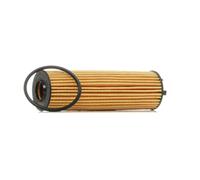 HENGST FILTER E342H D494 Filtro olio