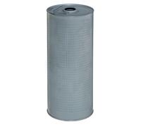 HENGST FILTER E36N D186 Filtro olio