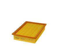 HENGST FILTER E619L Filtro, Aria abitacolo per FENDT