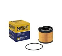 Hengst Filter Filtro carburante E62KP D91 per Citroën, Fiat, Lancia, Peugeot, Suzuki