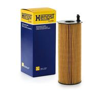 Filtro olio HENGST FILTER E73H D207