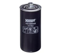 HENGST FILTER HG18WD05 Filtro idraulico per cambio automatico