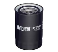 Filtri, idraulica operativa HENGST HY695W