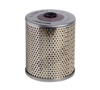 HENGST FILTRO Filtro Olio Motore