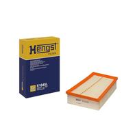 Hengst filtro motore E1045L scomparti
