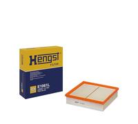 Hengst filtro motore E1061L scomparti