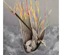 Henrietta - Paper Wings