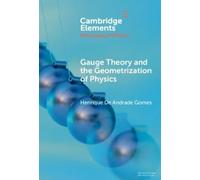 Henrique De Andrade Gauge Theory and the Geometrization of P (Copertina rigida)