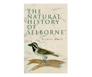 Henry Morley Gilbert White The Natural History of Selborne (Tascabile)