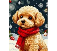 Henypt Kit Punto Croce Carino Bichon Frise Marrone Schemi Quadri Set Ricamo Punto Croce Kit Da Ricamare Principianti Starter Prestampato Stampato Cross Stitch Embroidery Ricami