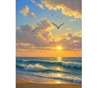 Henypt Set Ricamo Punto Croce Alba In Mare 14Ct Prestampati Kit Di Ricamo Schemi Per Principianti Stampati Schemi Ricamare Decorazione 50x70cm