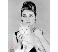 Hepburn, Audrey [2002374] Foto 8x10 (Altre Dimensioni Disponibili)