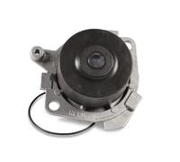 Pompa dell'acqua HEPU P1012