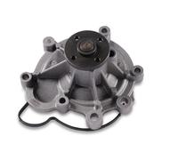 HEPU P1511 Pompa acqua