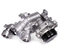 HEPU P1587A-TH Pompa acqua