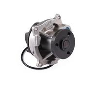 Pompa dell'acqua HEPU P236
