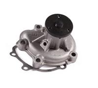 Pompa dell'acqua HEPU P372
