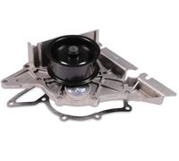 Pompa dell'acqua HEPU P544