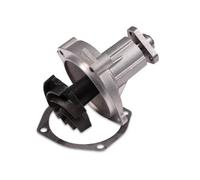 Pompa dell'acqua HEPU P620