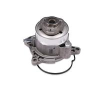 Pompa dell'acqua HEPU P656