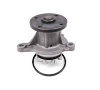 HEPU P7411 Pompa acqua