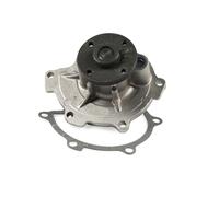 HEPU P7560 Pompa acqua