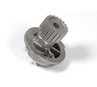 Pompa dell'acqua HEPU P795