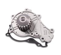 Pompa dell'acqua HEPU P803