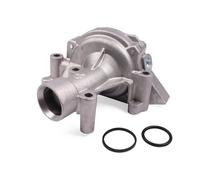 Pompa dell'acqua HEPU P897
