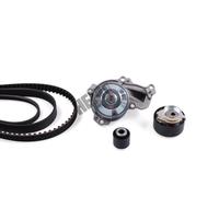 Kit distribuzione + pompa acqua Alternatore PK09080 HEPU per PEUGEOT DS CITROËN