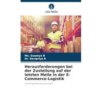 Herausforderungen bei der Zustellung auf der letzten Meile in der E-Commerce-Logistik: Die Perspektive eines Kunden