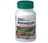 HERBAL ACTIVES INCENSO 60C LA