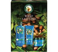 Herbal Essences Argan Oil Repair Gift Set confezione regalo per capelli rovinati