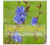 Herbal Haven. Enchanting Healing Plants (Wall Calendar 2026 12 × 12 Inch) CALVENDO 12 Month Wall Calendar: Bring Home the Beauty of Healing Plants and Uncover Botanical Treasures Every Month!