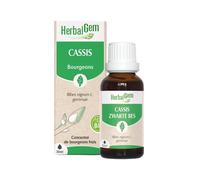 Herbalgem Cassis Bio 30ml - Gemmoderivato