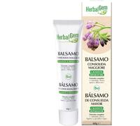 Herbalgem Consolida Balsamo 60 G